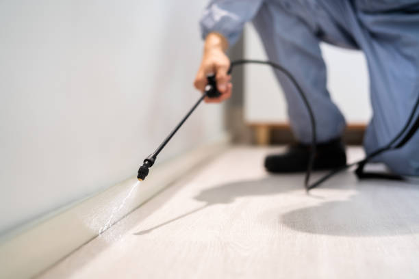 Licensed Pest Control service in Lansing, MI - Show Me Pest Control