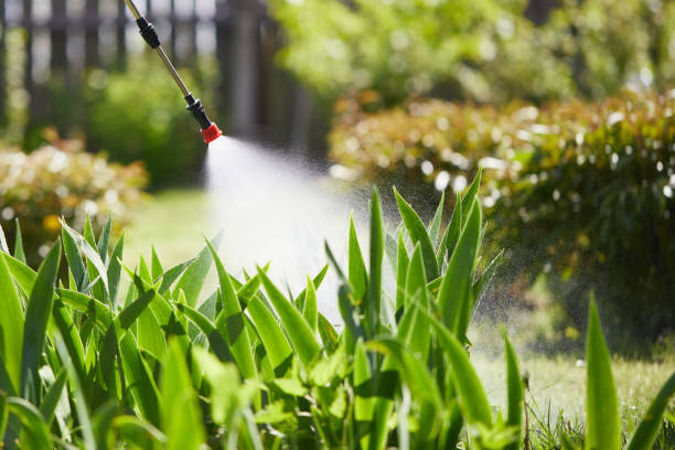 24/7 Emergency Wasp Removal experts in Lansing, MI