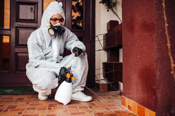 Reliable Wasp Removal contractor in Lansing, MI by Show Me Pest Control